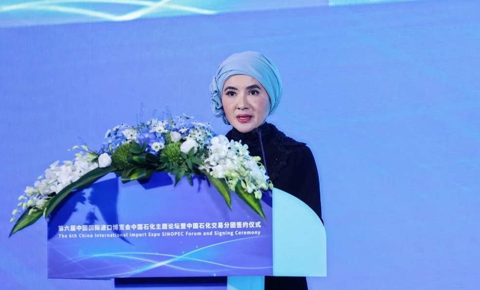 Dibidik KPK Kasus Korupsi LNG Bareng Ahok, Segini Kekayaan Nicke Widyawati Eks Dirut PERTAMINA